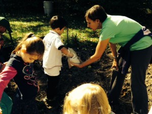 Photo for P3 October blog