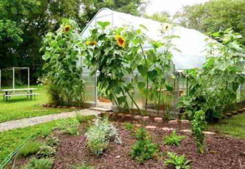 green house at Montessori