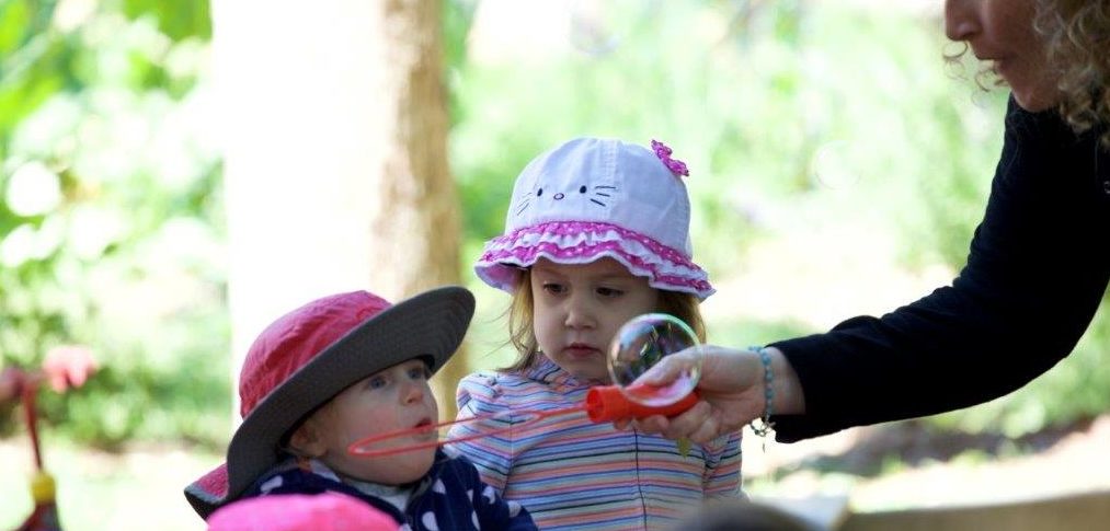 Summer School at Montessori Radmoor